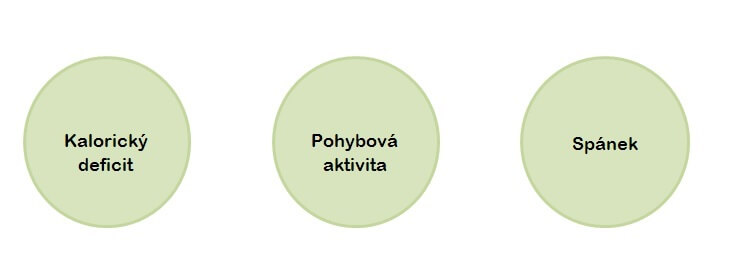 Spalovac-co-v-nem-hledat-3-vyziva-proteinaco